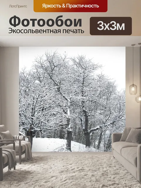 Фотообои Зима