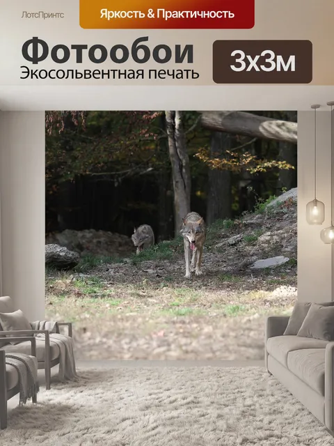 Фотообои Волки