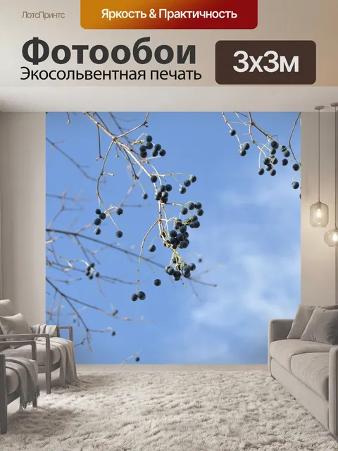 Фотообои Пейзаж