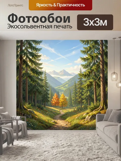 Фотообои Горная тропа в хвойном лесу