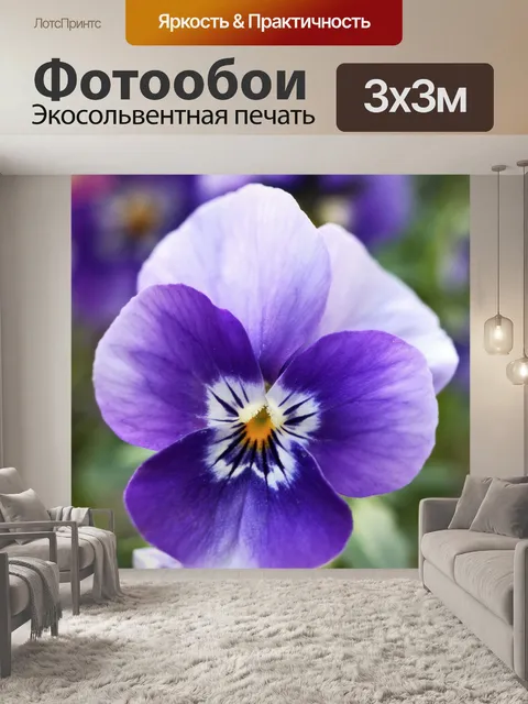 Фотообои Анютины глазки возбужденный фиолетовый ц