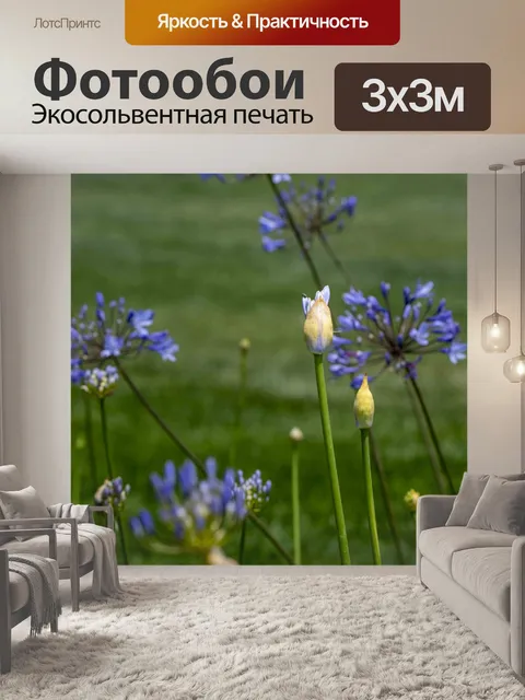 Фотообои бутон голубой лилии