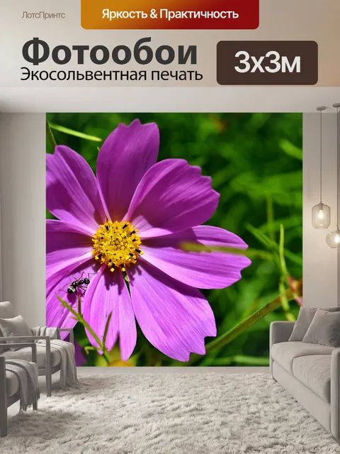 Фотообои Цветок