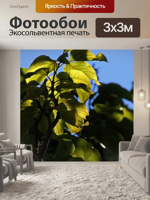 Фотообои солнечный свет на светящихся зеленых лис