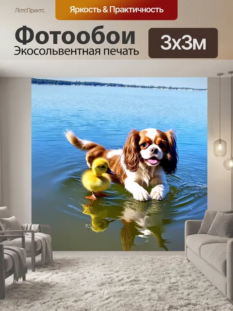 Фотообои на краю живописного озера, веселый кавалер кинг чарльз спаниель, играющий с купающимся утенком