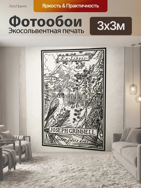Фотообои Книга
