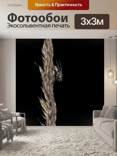 Фотообои Летать