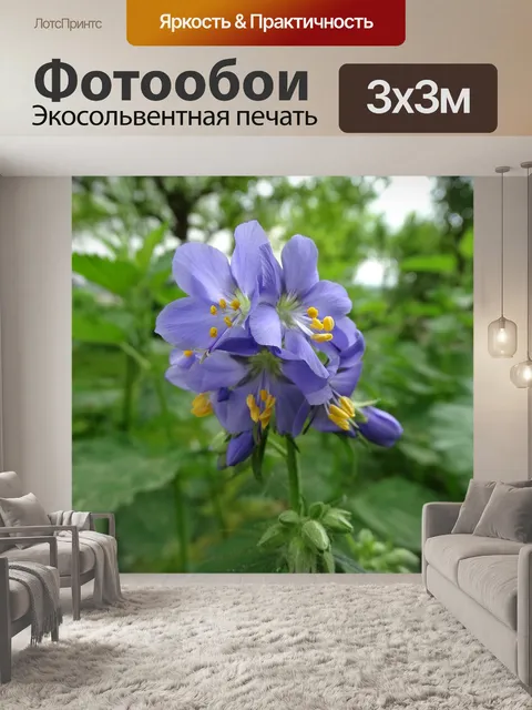 Фотообои Лестница иакова