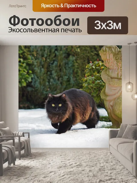 Фотообои Kitty Cat зимой