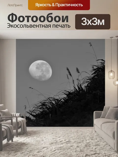 Фотообои Луна