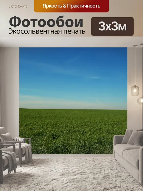 Фотообои Поле и небо
