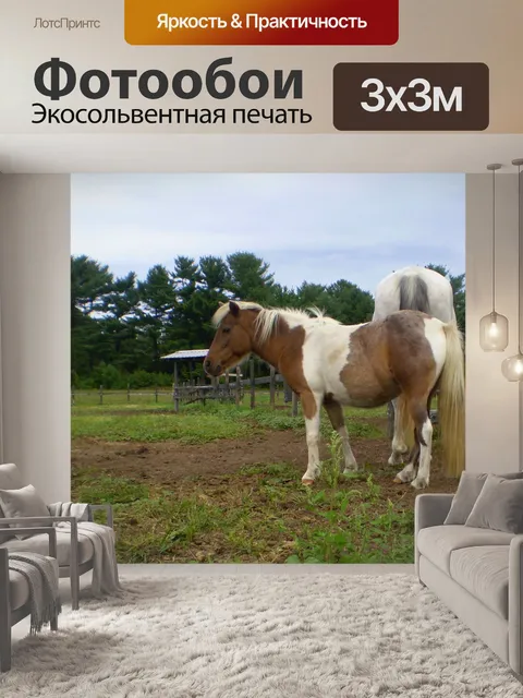 Фотообои Лошадь и Пони