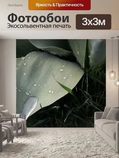 Фотообои капли дождя на листьях 2