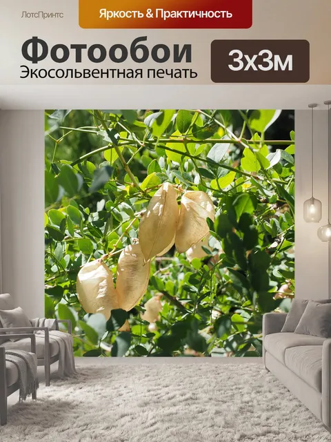 Фотообои Sap