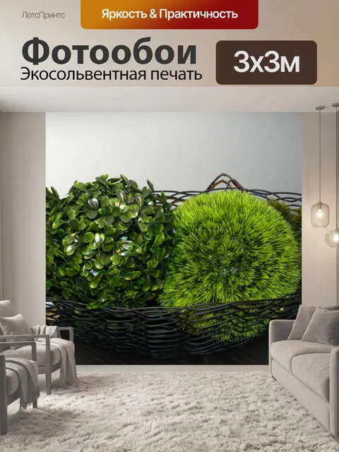 Фотообои Декоративные зеленые растения