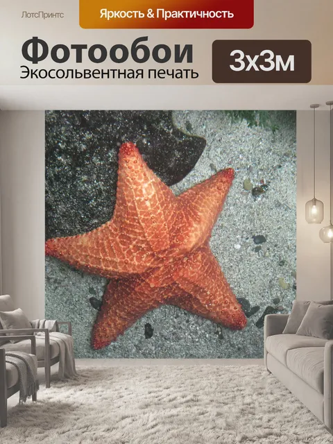 Фотообои Звезда