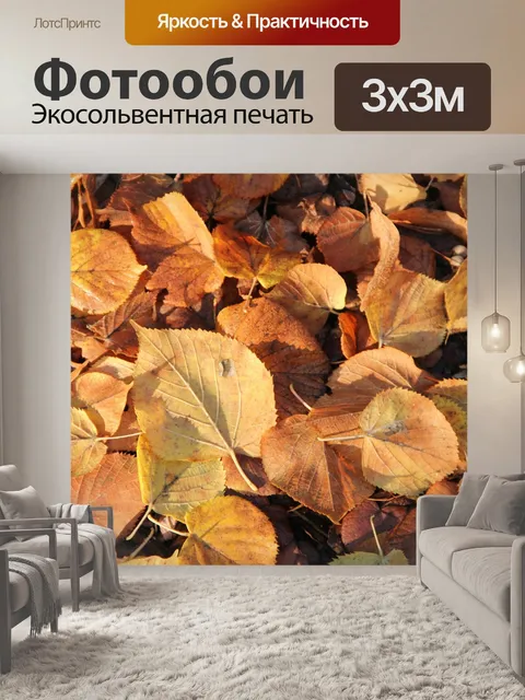 Фотообои Падение