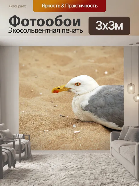 Фотообои Чайка