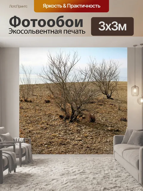 Фотообои Берег реки