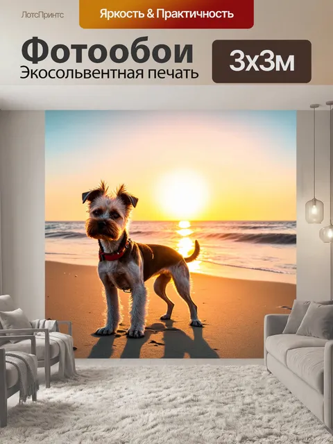 Фотообои собака хохлатая, встречающая рассвет на пляже, с морем на заднем плане