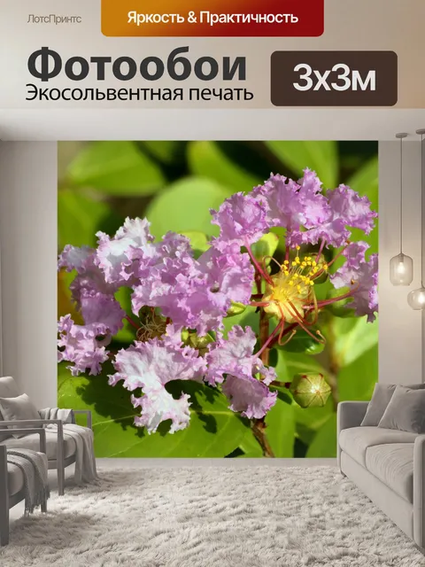 Фотообои Фиолетовый Креп Миртл Блум