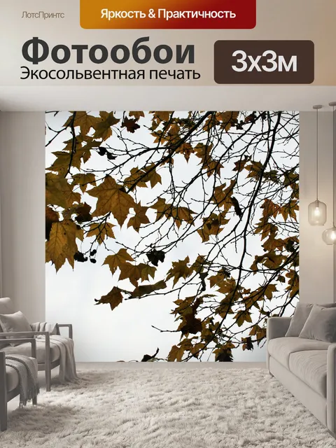 Фотообои желто-коричневый листья на фоне неба
