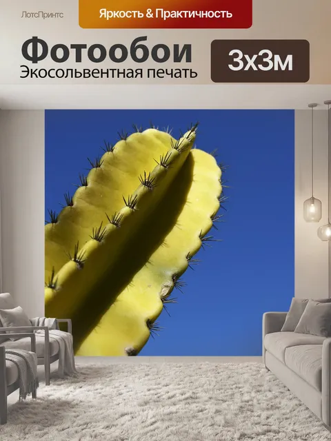 Фотообои Кактус
