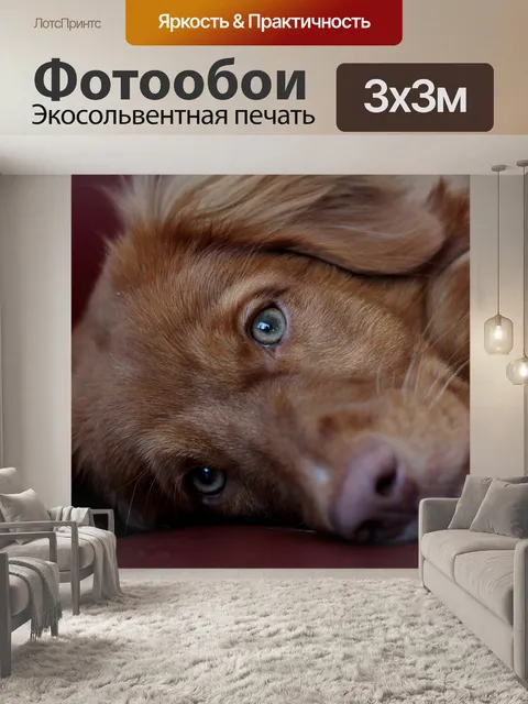 Фотообои Щенок