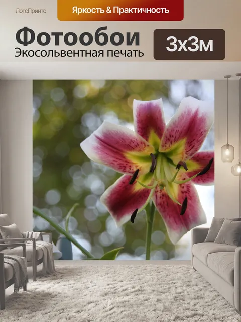 Фотообои Лилия