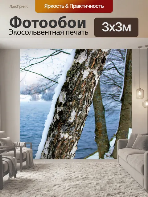 Фотообои Зима