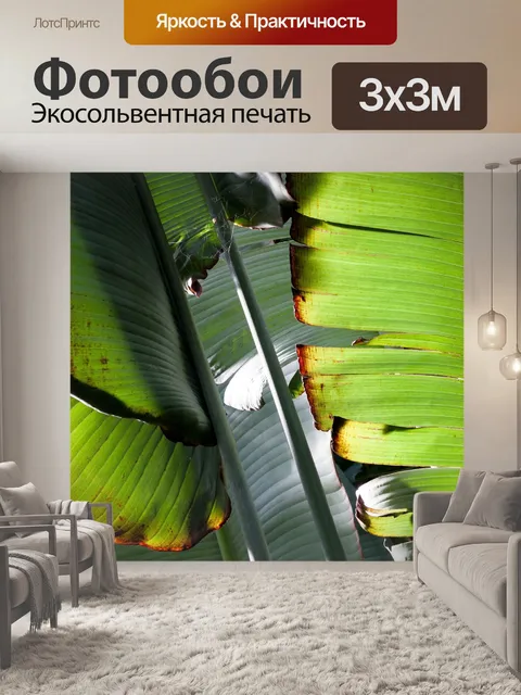 Фотообои Банановые листья