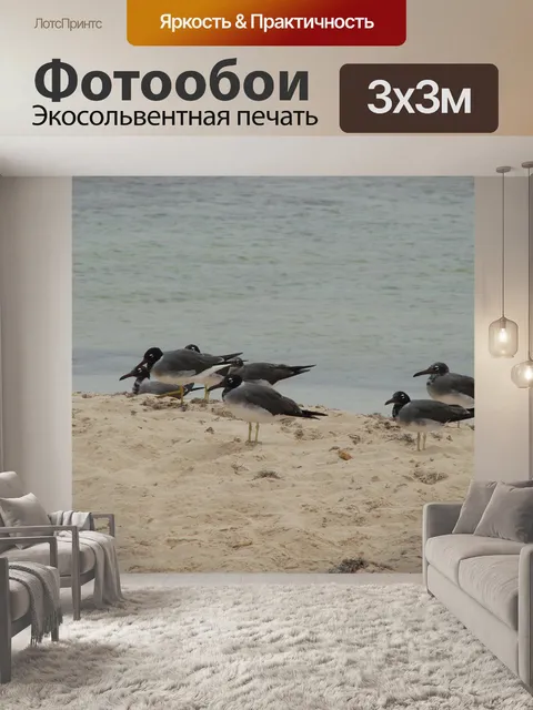 Фотообои Птицы