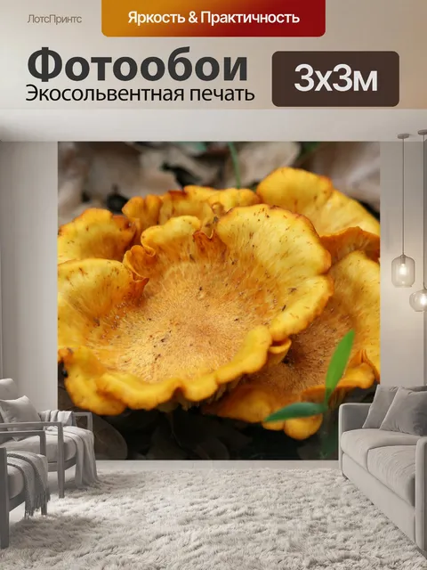 Фотообои Джек-О-Фонарь Грибы Крупным планом