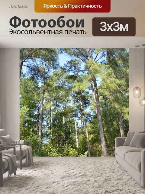 Фотообои Лесной пейзаж