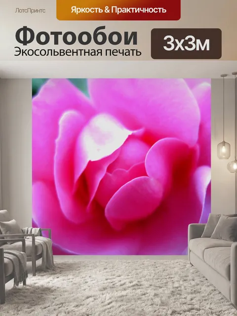 Фотообои изысканный розовый розы