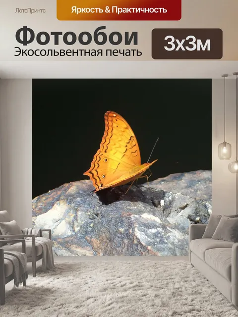 Фотообои Бабочка