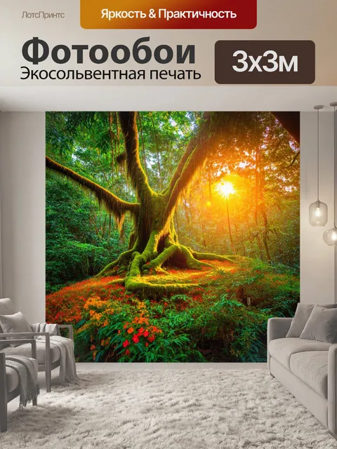 Фотообои закат в тропическом лесу