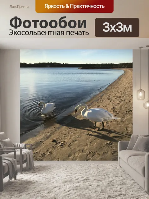 Фотообои Лебедь