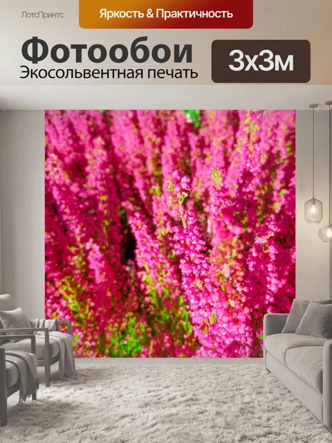 Фотообои розовый вереск