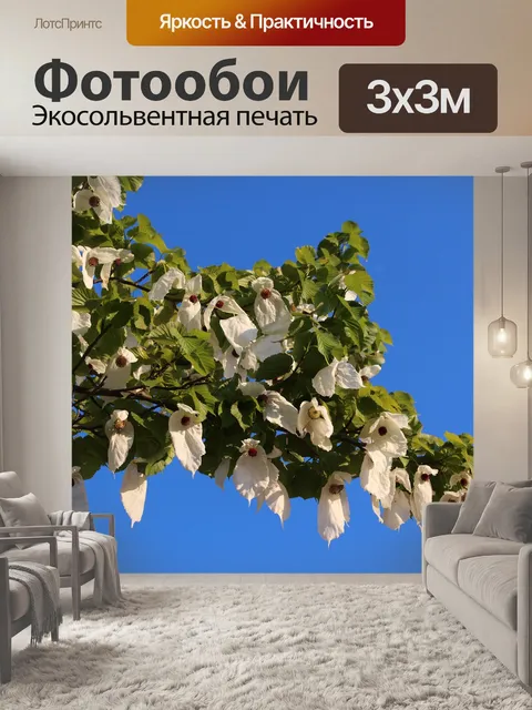 Фотообои Дерево