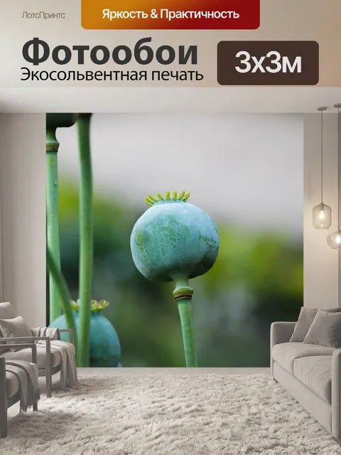 Фотообои Природа