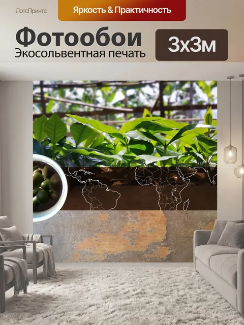 Фотообои Кофе