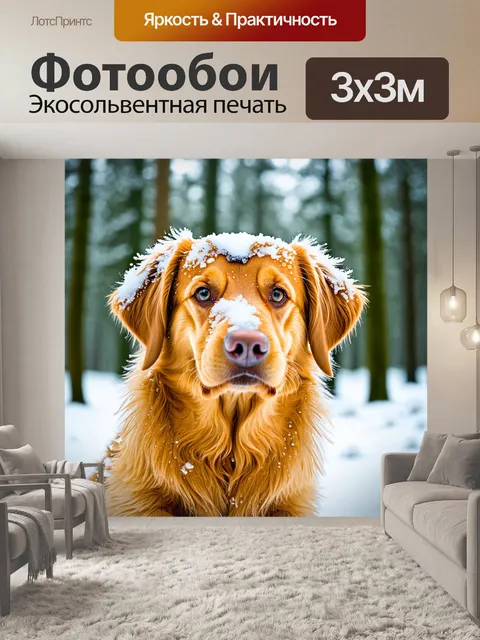 Фотообои молодой золотистый ретривер в зимнем лесу, играющий с пушистым снегом