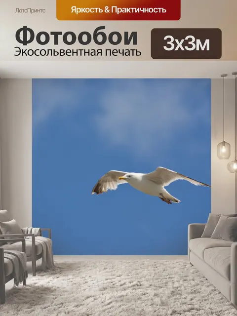 Фотообои Полет чайки