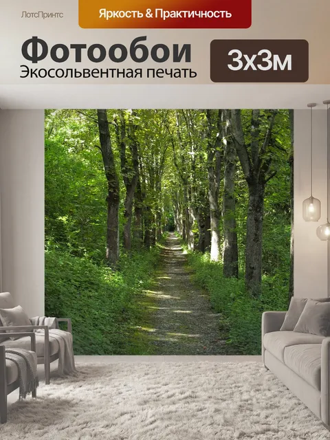 Фотообои Лесная тропа