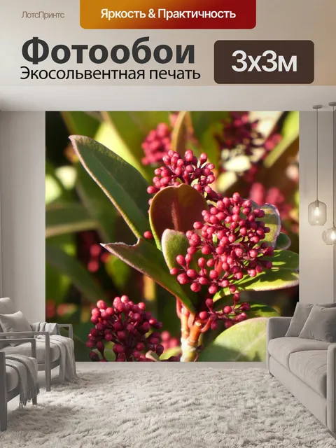 Фотообои Буш