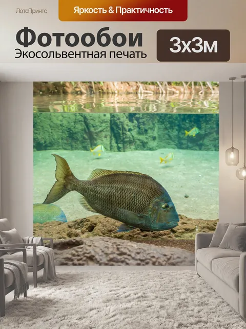 Фотообои подводная рыба и остров