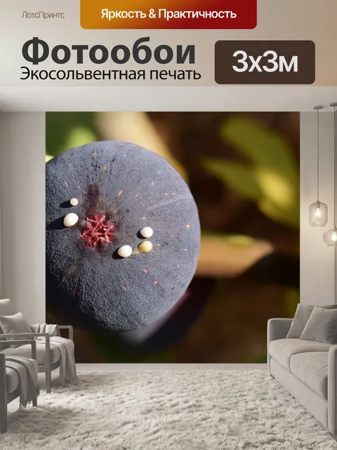 Фотообои Рис