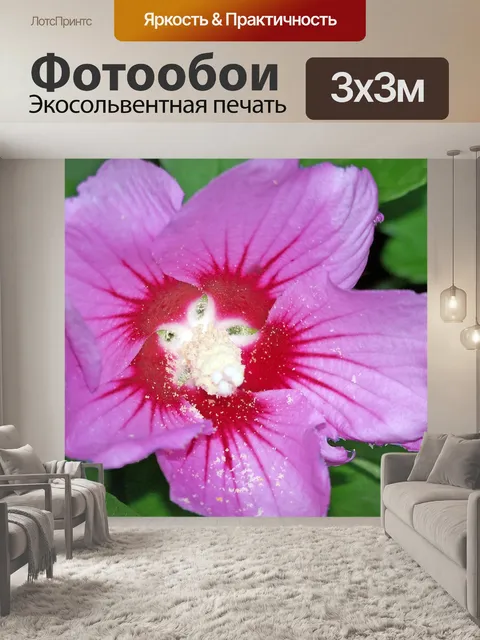 Фотообои Розовые и красные цветы