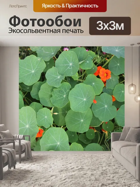 Фотообои Морской город